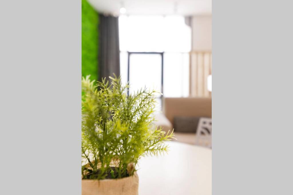 Appartement Le Tresor Des Soeurs Macarons Nancy